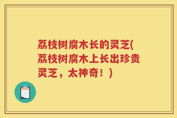 荔枝树腐木长的灵芝(荔枝树腐木上长出珍贵灵芝，太神奇！)