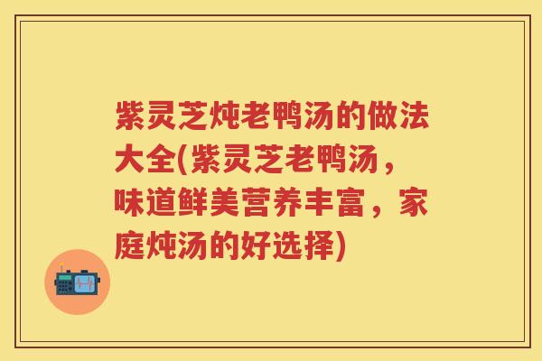 紫灵芝炖老鸭汤的做法大全(紫灵芝老鸭汤，味道鲜美营养丰富，家庭炖汤的好选择)