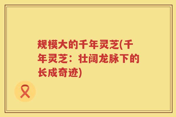 规模大的千年灵芝(千年灵芝:壮阔龙脉下的长成奇迹) 规模大的千年灵芝(千年灵芝:壮阔龙脉下的长成奇迹)