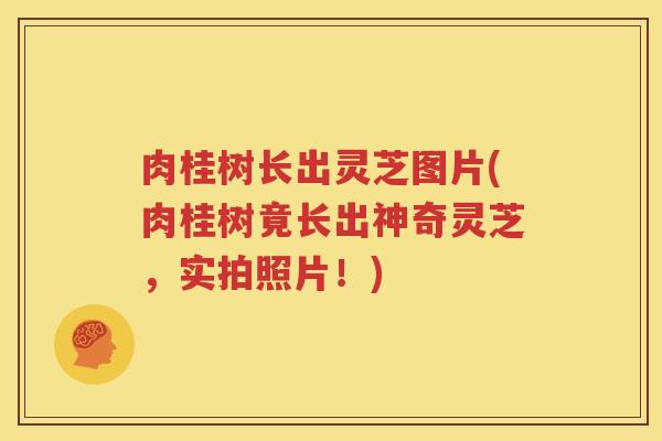 肉桂树长出灵芝图片(肉桂树竟长出神奇灵芝，实拍照片！)