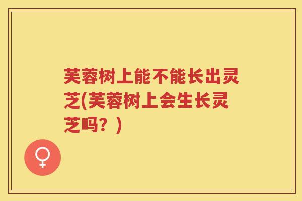 芙蓉树上能不能长出灵芝(芙蓉树上会生长灵芝吗？)