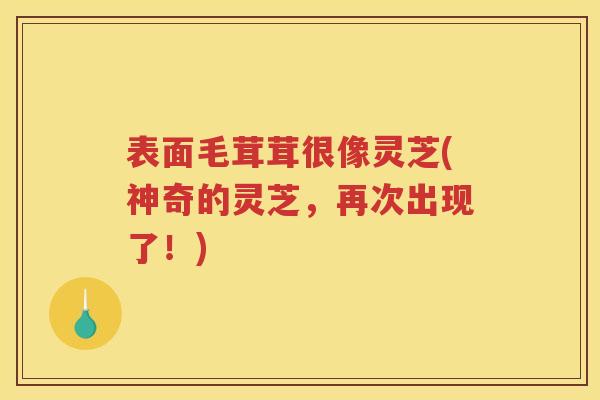 表面毛茸茸很像灵芝(神奇的灵芝，再次出现了！)