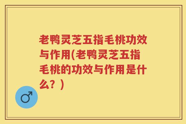 老鸭灵芝五指毛桃功效与作用(老鸭灵芝五指毛桃的功效与作用是什么？)