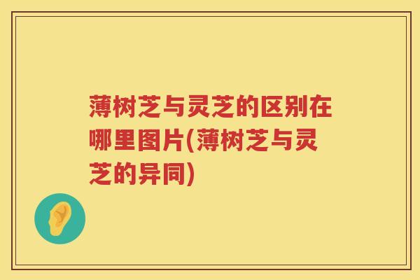 薄树芝与灵芝的区别在哪里图片(薄树芝与灵芝的异同)