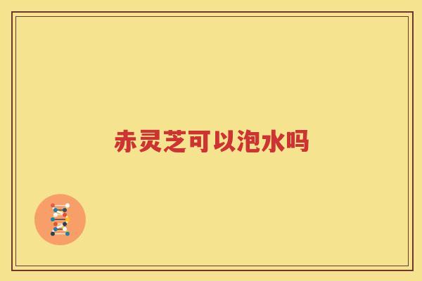 赤灵芝可以泡水吗