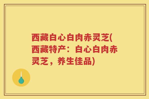 西藏白心白肉赤灵芝(西藏特产：白心白肉赤灵芝，养生佳品)