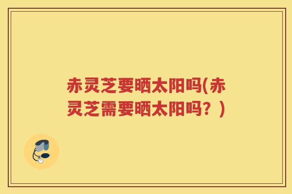 赤灵芝要晒太阳吗(赤灵芝需要晒太阳吗？)