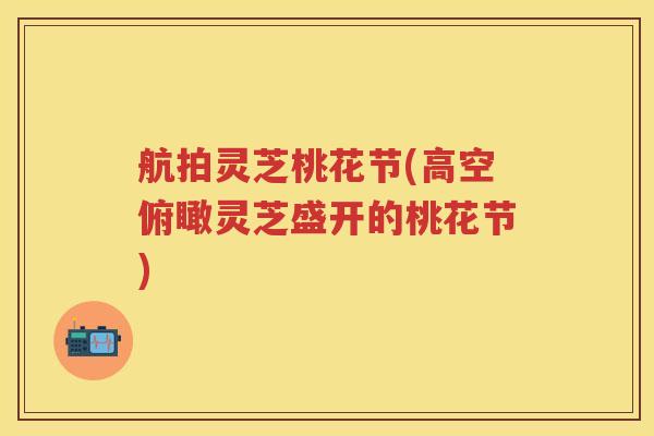 航拍灵芝桃花节(高空俯瞰灵芝盛开的桃花节)
