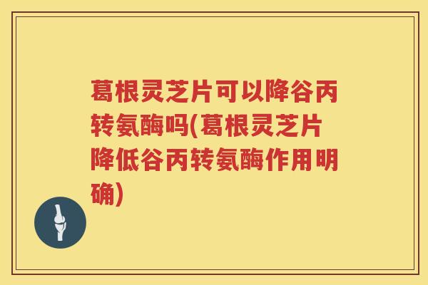 葛根灵芝片可以降谷丙转氨酶吗(葛根灵芝片降低谷丙转氨酶作用明确)