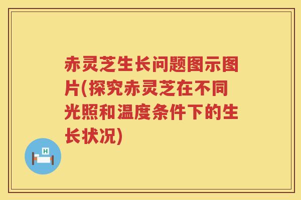 赤灵芝生长问题图示图片(探究赤灵芝在不同光照和温度条件下的生长状况)