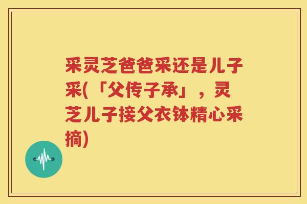 采灵芝爸爸采还是儿子采(「父传子承」,灵芝儿子接父衣钵精心采摘) 采灵芝爸爸采还是儿子采(「父传子承」,灵芝儿子接父衣钵精心采摘)
