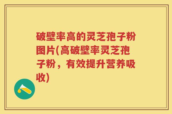 破壁率高的灵芝孢子粉图片(高破壁率灵芝孢子粉，有效提升营养吸收)