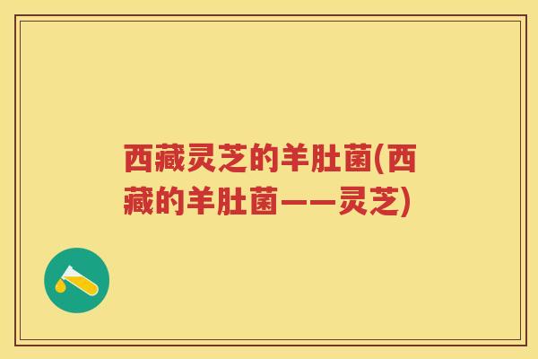 西藏灵芝的羊肚菌(西藏的羊肚菌——灵芝)