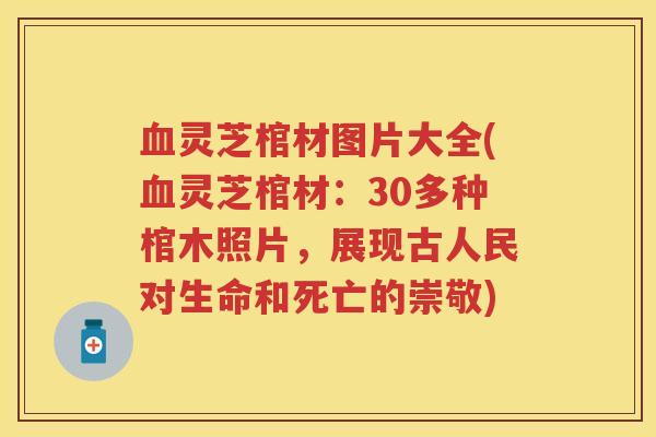 血灵芝棺材图片大全(血灵芝棺材：30多种棺木照片，展现古人民对生命和死亡的崇敬)