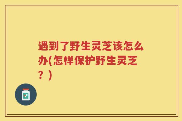 遇到了野生灵芝该怎么办(怎样保护野生灵芝？)