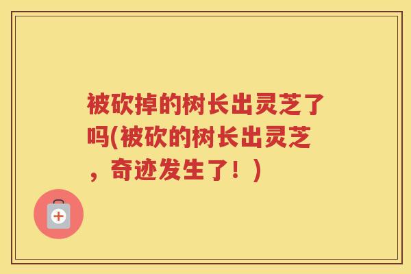 被砍掉的树长出灵芝了吗(被砍的树长出灵芝，奇迹发生了！)