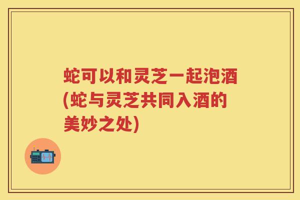蛇可以和灵芝一起泡酒(蛇与灵芝共同入酒的美妙之处) 蛇可以和灵芝一起泡酒(蛇与灵芝共同入酒的美妙之处)
