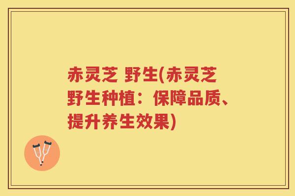 赤灵芝 野生(赤灵芝野生种植：保障品质、提升养生效果)