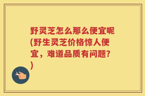 野灵芝怎么那么便宜呢(野生灵芝价格惊人便宜，难道品质有问题？)