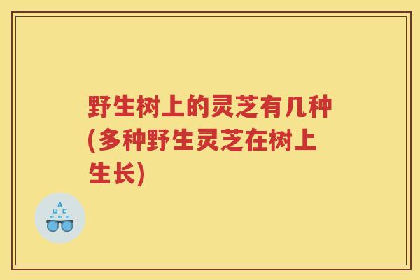 野生树上的灵芝有几种(多种野生灵芝在树上生长)