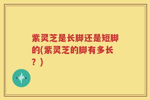 紫灵芝是长脚还是短脚的(紫灵芝的脚有多长？)