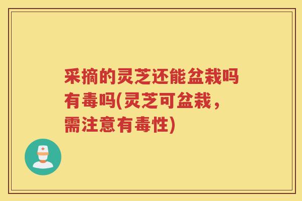 采摘的灵芝还能盆栽吗有毒吗(灵芝可盆栽，需注意有毒性)