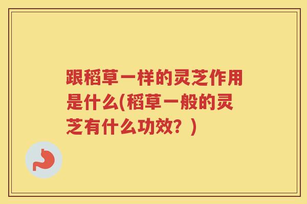 跟稻草一样的灵芝作用是什么(稻草一般的灵芝有什么功效？)