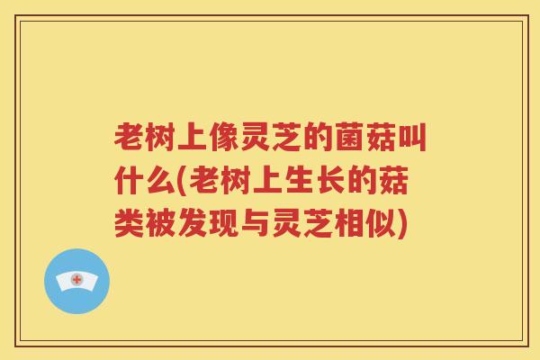 老树上像灵芝的菌菇叫什么(老树上生长的菇类被发现与灵芝相似)