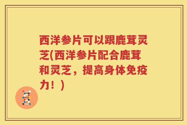 西洋参片可以跟鹿茸灵芝(西洋参片配合鹿茸和灵芝，提高身体免疫力！)