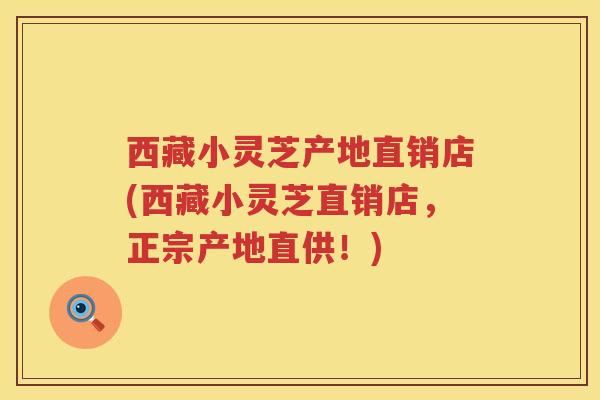 西藏小灵芝产地直销店(西藏小灵芝直销店，正宗产地直供！)