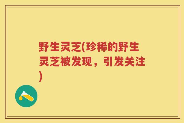 野生灵芝(珍稀的野生灵芝被发现，引发关注)