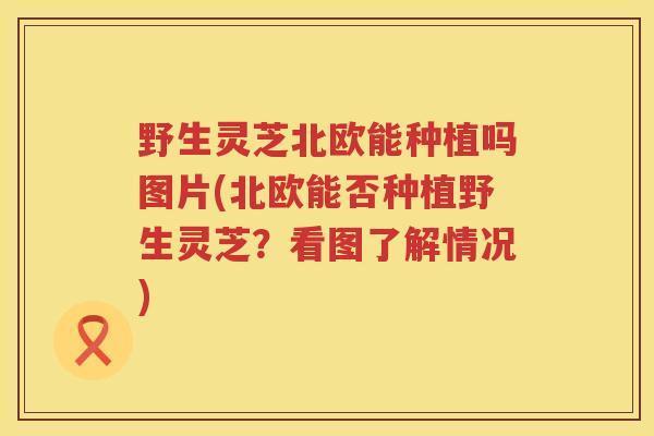 野生灵芝北欧能种植吗图片(北欧能否种植野生灵芝？看图了解情况)