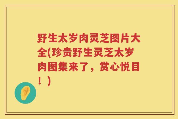 野生太岁肉灵芝图片大全(珍贵野生灵芝太岁肉图集来了,赏心悦目!) 野生太岁肉灵芝图片大全(珍贵野生灵芝太岁肉图集来了,赏心悦目!)