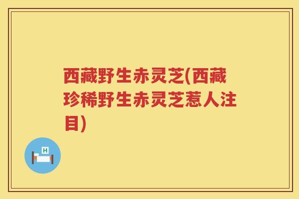 西藏野生赤灵芝(西藏珍稀野生赤灵芝惹人注目)