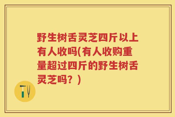 野生树舌灵芝四斤以上有人收吗(有人收购重量超过四斤的野生树舌灵芝吗？)