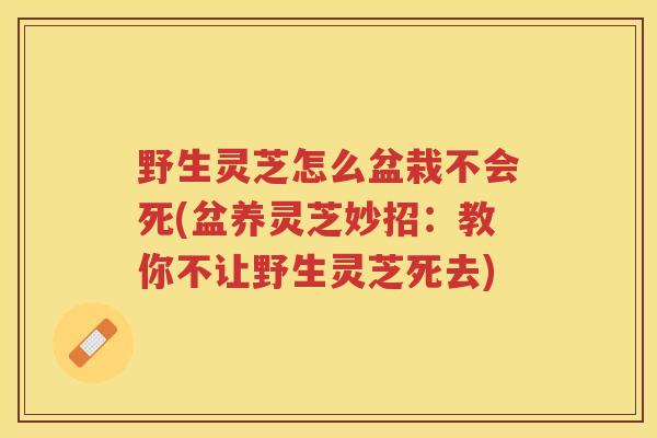 野生灵芝怎么盆栽不会死(盆养灵芝妙招：教你不让野生灵芝死去)