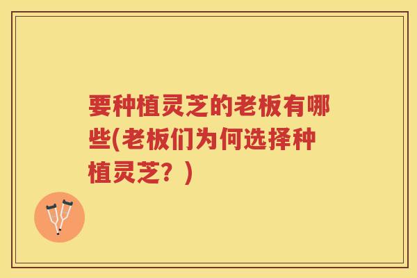要种植灵芝的老板有哪些(老板们为何选择种植灵芝？)