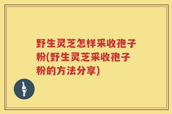 野生灵芝怎样采收孢子粉(野生灵芝采收孢子粉的方法分享)