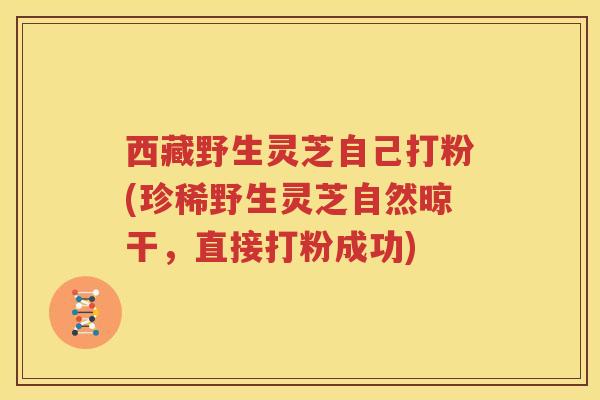 西藏野生灵芝自己打粉(珍稀野生灵芝自然晾干,直接打粉成功) 西藏野生灵芝自己打粉(珍稀野生灵芝自然晾干,直接打粉成功)