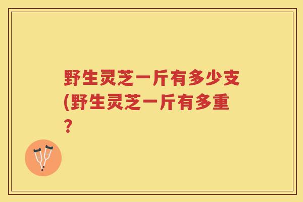 野生灵芝一斤有多少支(野生灵芝一斤有多重？
