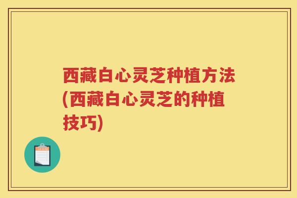 西藏白心灵芝种植方法(西藏白心灵芝的种植技巧)