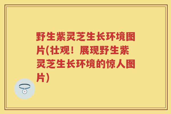 野生紫灵芝生长环境图片(壮观！展现野生紫灵芝生长环境的惊人图片)