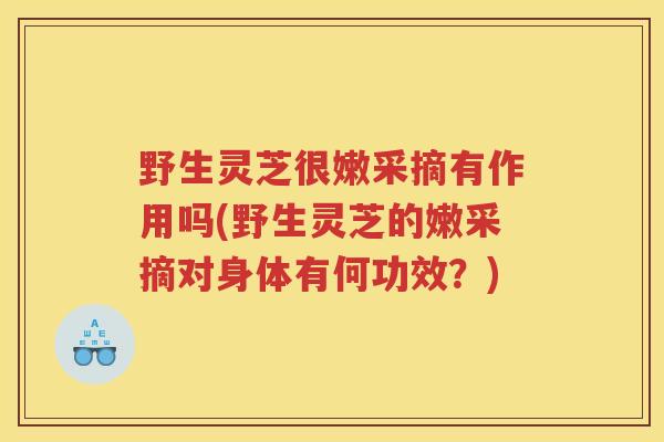 野生灵芝很嫩采摘有作用吗(野生灵芝的嫩采摘对身体有何功效？)