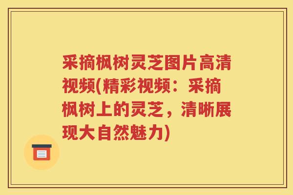 采摘枫树灵芝图片高清视频(精彩视频：采摘枫树上的灵芝，清晰展现大自然魅力)