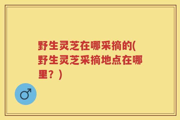 野生灵芝在哪采摘的(野生灵芝采摘地点在哪里？)