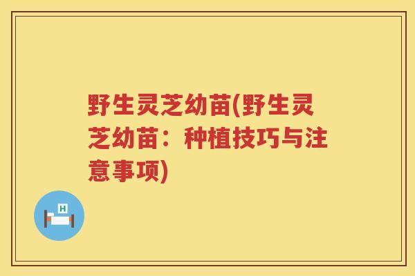 野生灵芝幼苗(野生灵芝幼苗：种植技巧与注意事项)
