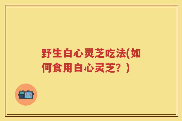 野生白心灵芝吃法(如何食用白心灵芝？)