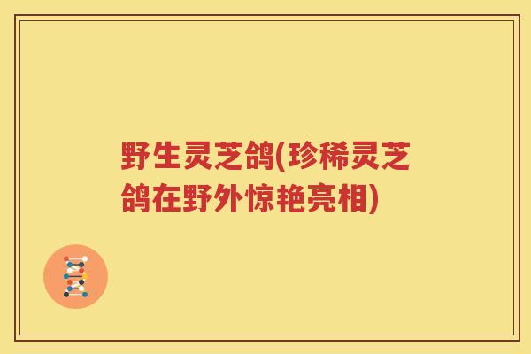 野生灵芝鸽(珍稀灵芝鸽在野外惊艳亮相)