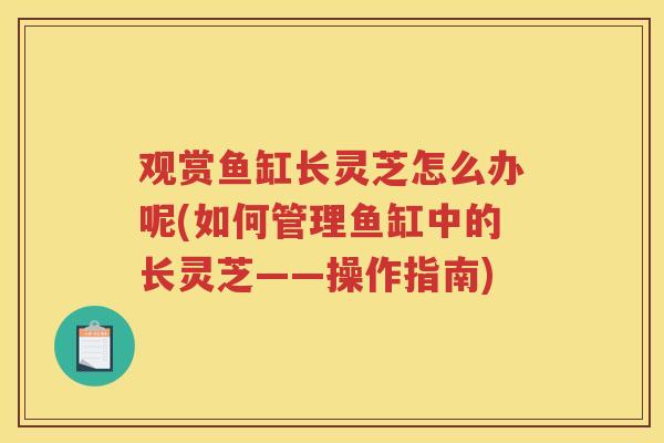 观赏鱼缸长灵芝怎么办呢(如何管理鱼缸中的长灵芝——操作指南)