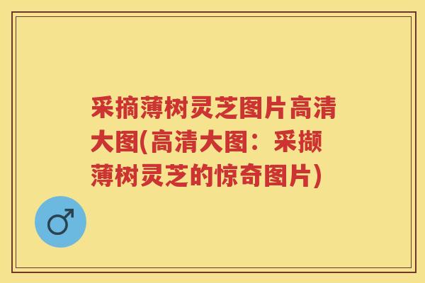 采摘薄树灵芝图片高清大图(高清大图：采撷薄树灵芝的惊奇图片)